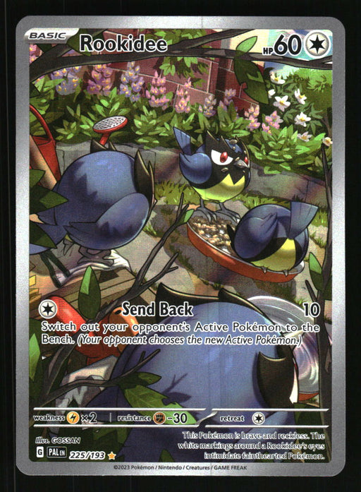 Rookidee 2023 Pokemon Paldea Evolved Front of Card