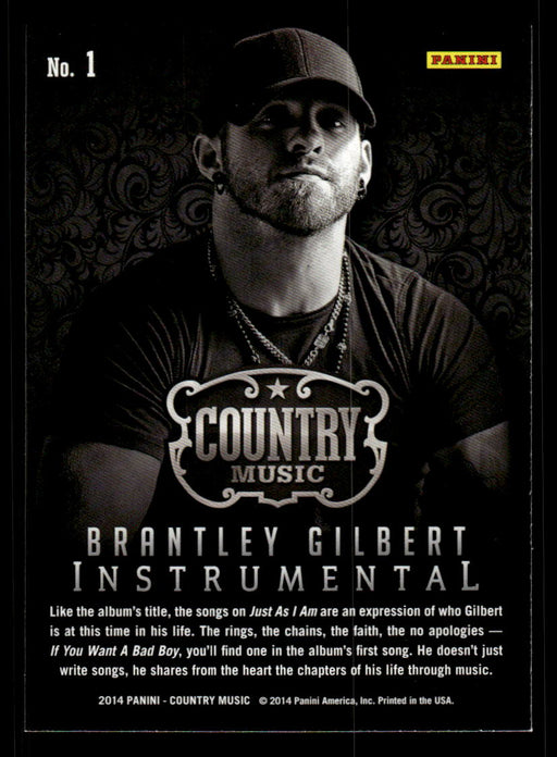 Brantley Gilbert 2014 Panini Country Music Back of Card