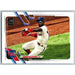 2021 Topps Baseball Complete Set Andrew McCutchen Philadelphia Phillies #431 - Collectible Craze America